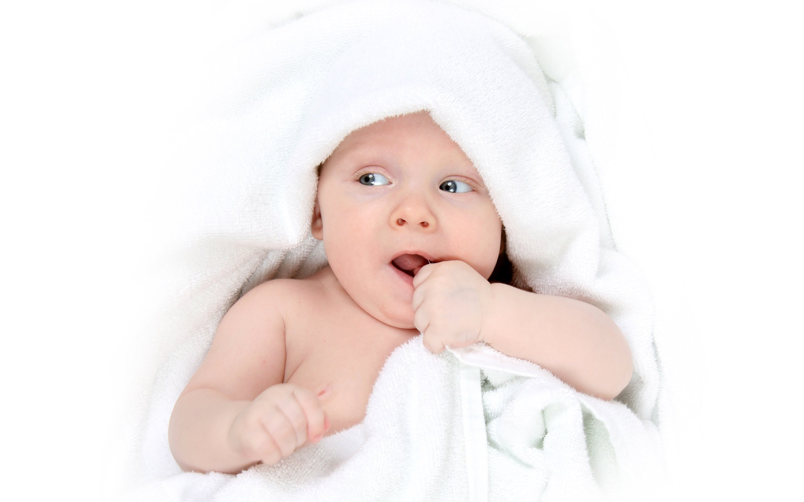捐卵机构联系方式美国试管婴儿成功率是多少